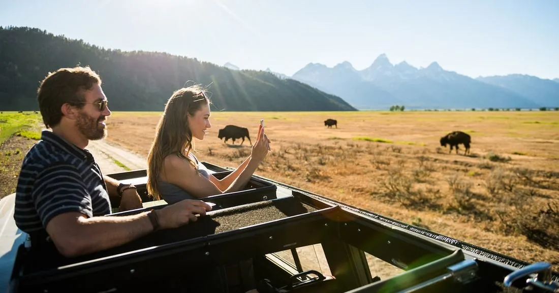 Au départ de Jackson : Safari éco de 4 heures dans le parc national de Grand Teton